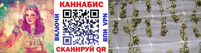 Псилоцибиновые грибы Кашира
