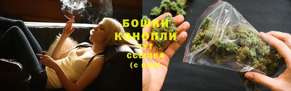 ГАЛЛЮЦИНОГЕННЫЕ ГРИБЫ Зеленокумск