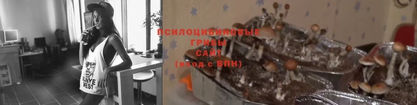 бошки Зеленодольск