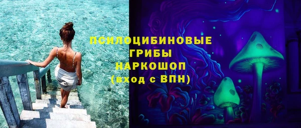ГАЛЛЮЦИНОГЕННЫЕ ГРИБЫ Зеленокумск