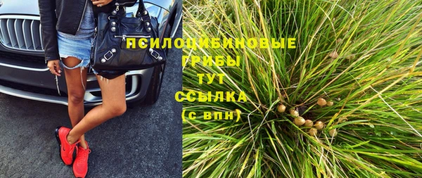 ГАЛЛЮЦИНОГЕННЫЕ ГРИБЫ Зеленокумск